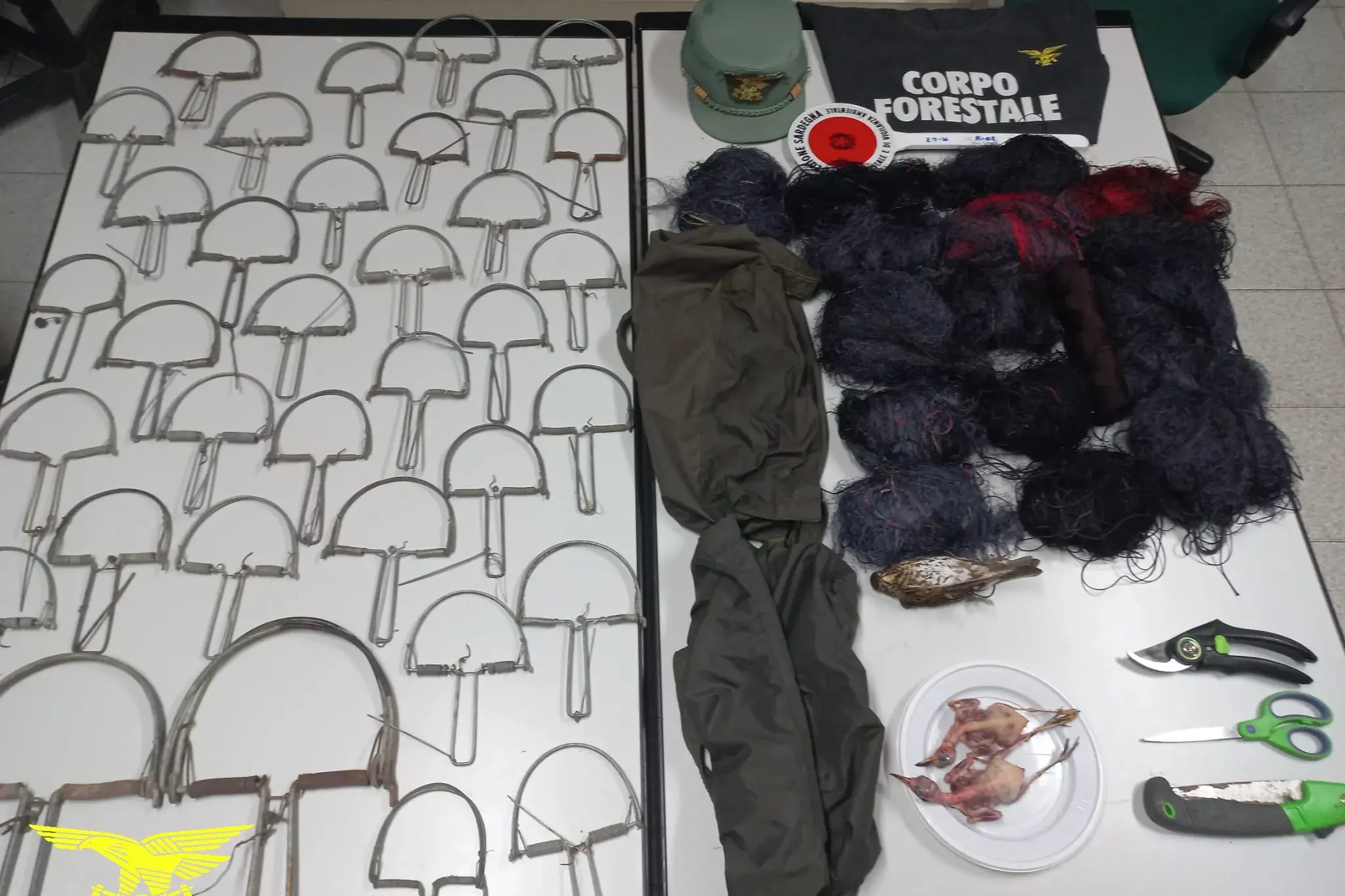 Uccellagione nelle campagne tra Maracalagonis e Quartucciu: pensionato colto in flagranza