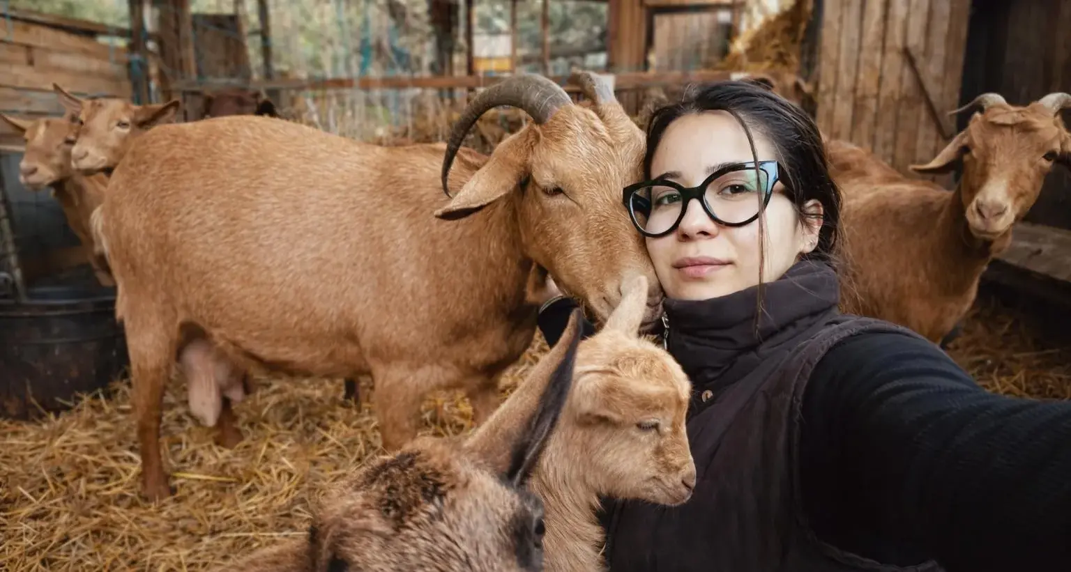 Asia, allevatrice di Osini: \"La vita in campagna non è isolamento. Qua ho imparato tutto\"