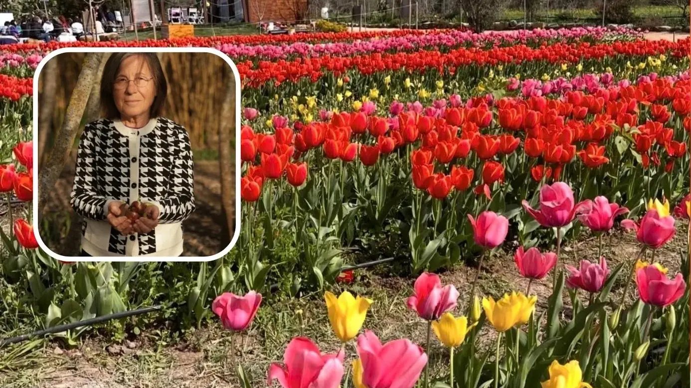 Il Giardino di Lu rinasce a Pimentel: riapertura prevista per il prossimo 21 marzo