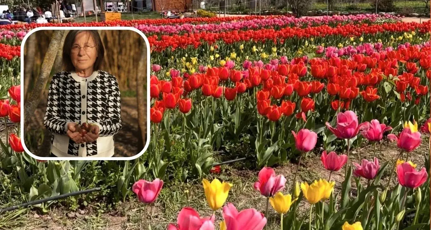 Il Giardino di Lu rinasce a Pimentel: riapertura prevista per il prossimo 21 marzo