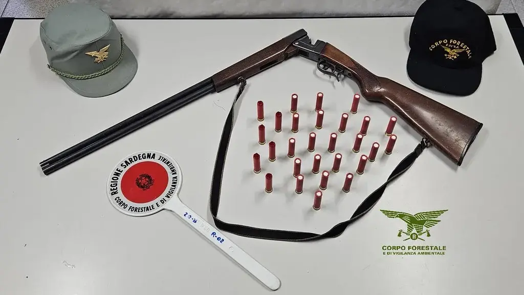 Sorpreso a cacciare a Sinnai, bracconiere bloccato da Forestale: sequestrati fucile e munizioni
