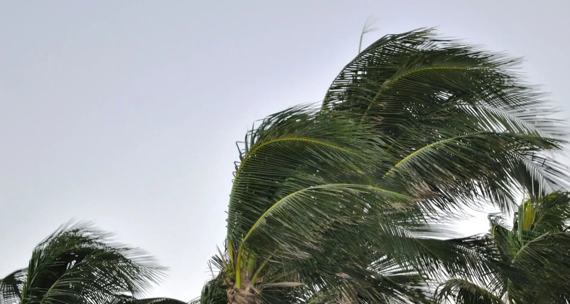 Maltempo sull'Italia: nevicate a bassa quota e venti di burrasca