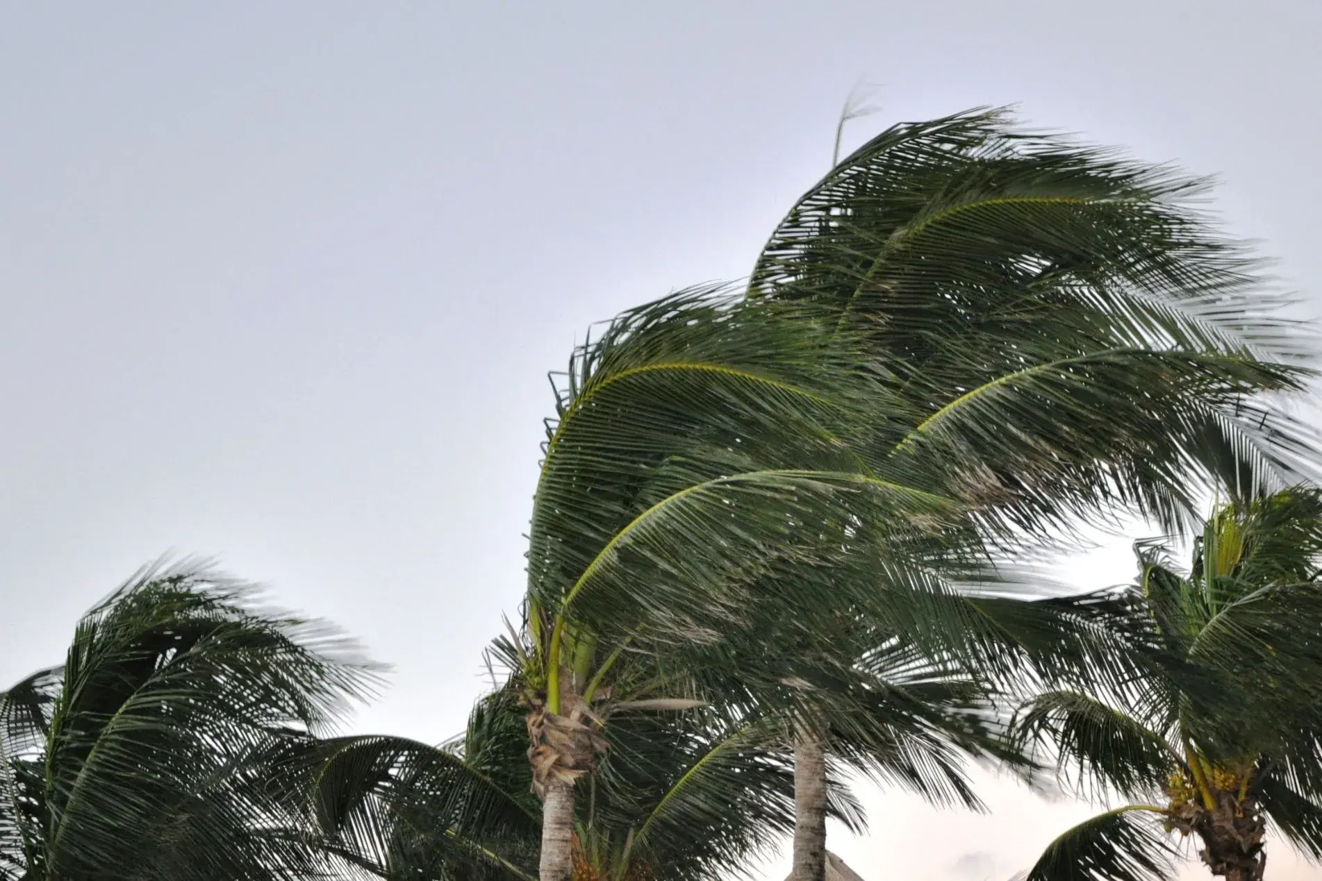 Maltempo sull'Italia: nevicate a bassa quota e venti di burrasca