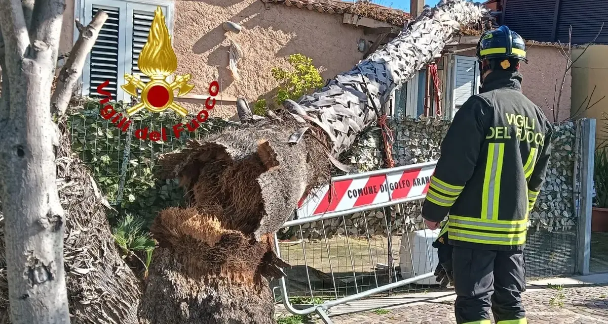 Gallura flagellata dal vento, oltre cento interventi nel Nord Sardegna