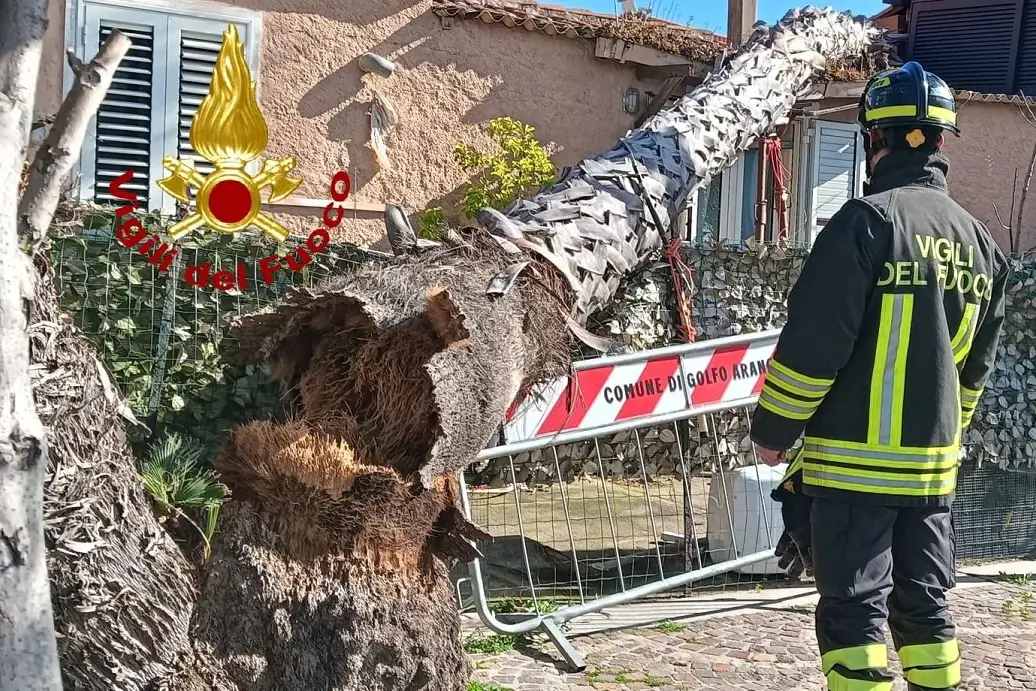 Gallura flagellata dal vento, oltre cento interventi nel Nord Sardegna