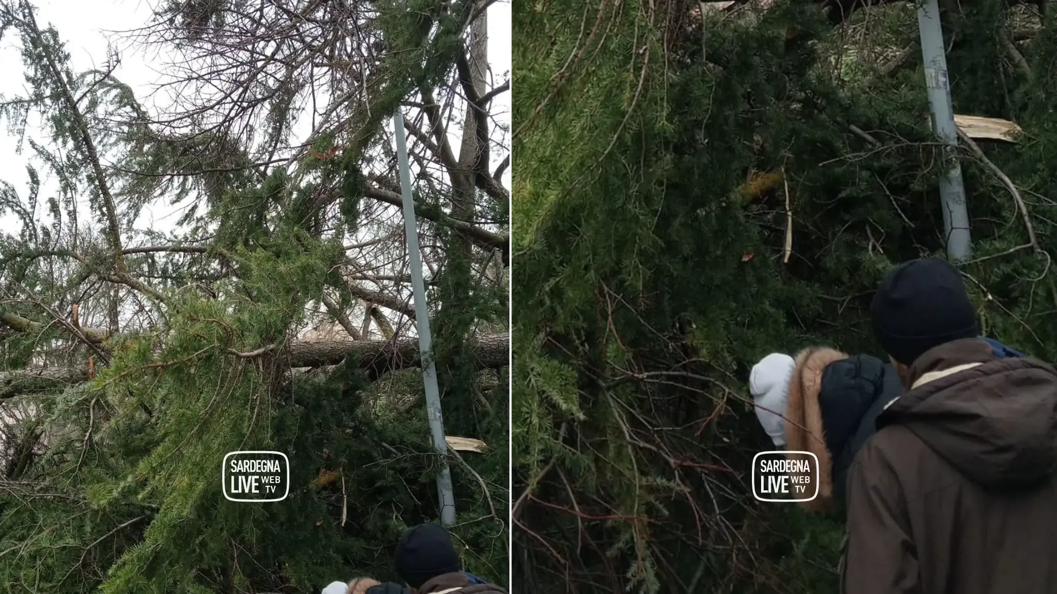 Sassari. Albero cade ai giardini pubblici: ragazzina rimane incastrata, soccorsa da una passante