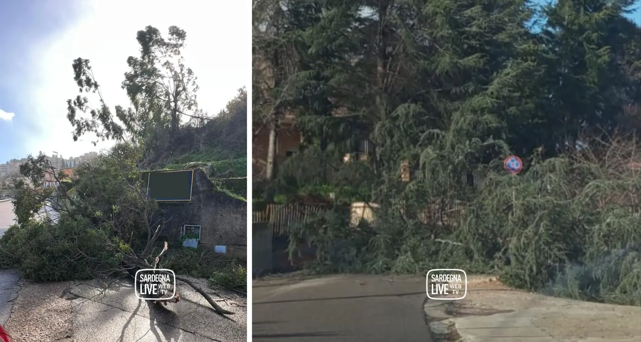 Lanusei. Alberi caduti in Piazza Girilonga e vicino al Liceo Leonardo Da Vinci