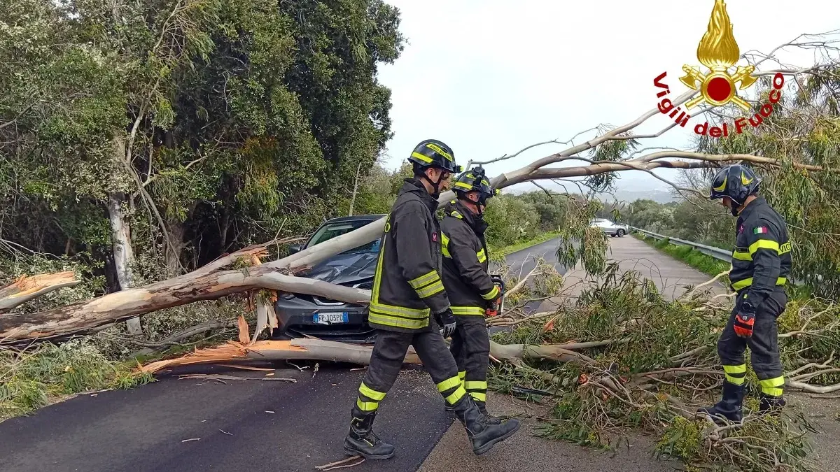 Maestrale, oltre 60 interventi dei Vigili del fuoco nel Sassarese
