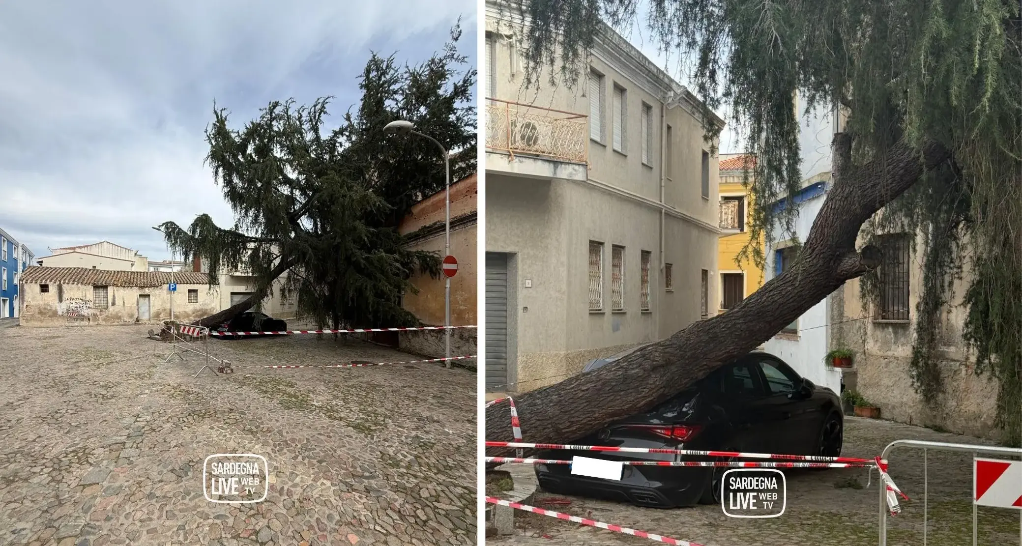 Tortolì. Il vento abbatte un albero in via Mameli: auto schiacciata, area transennata