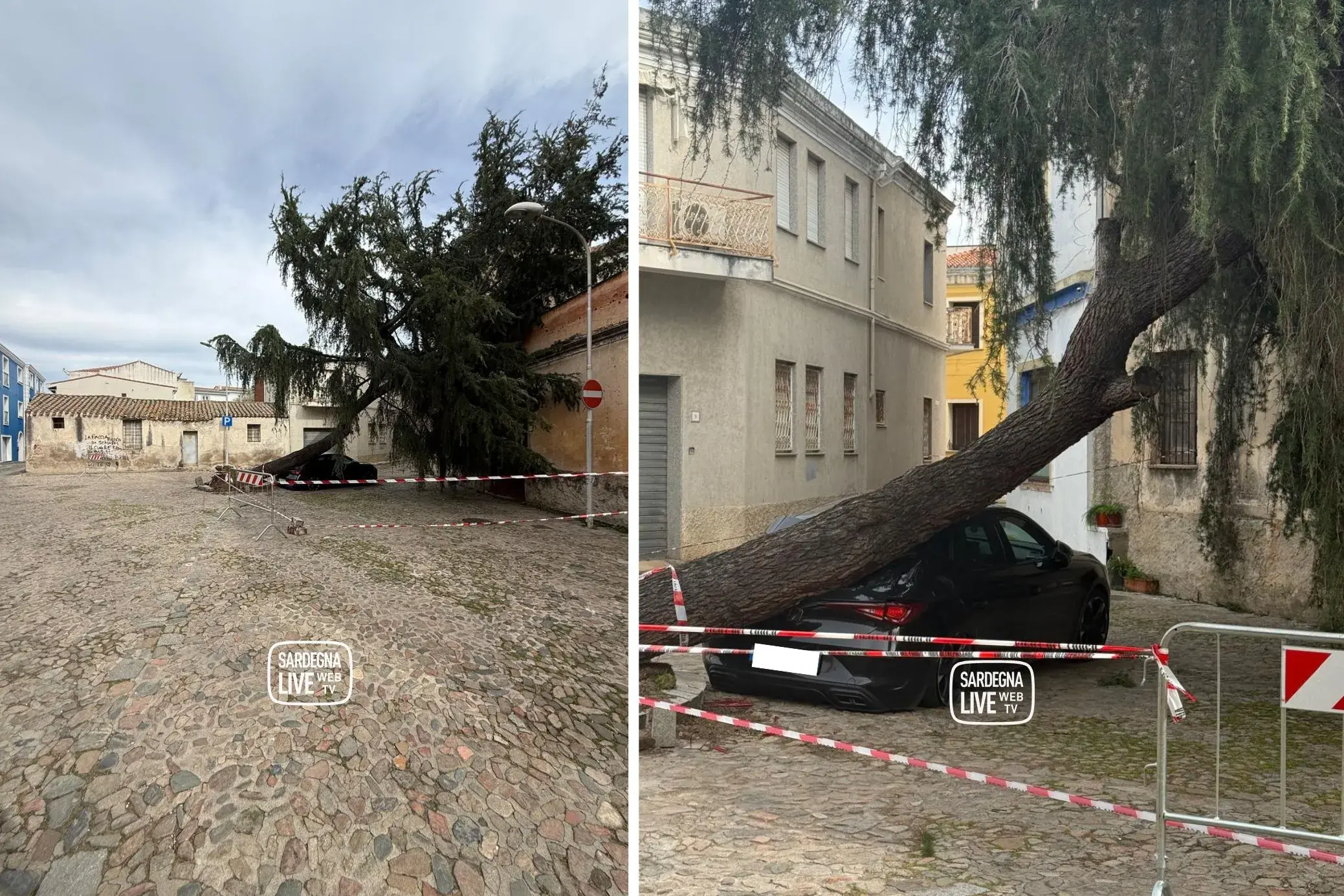 Tortolì. Il vento abbatte un albero in via Mameli: auto schiacciata, area transennata