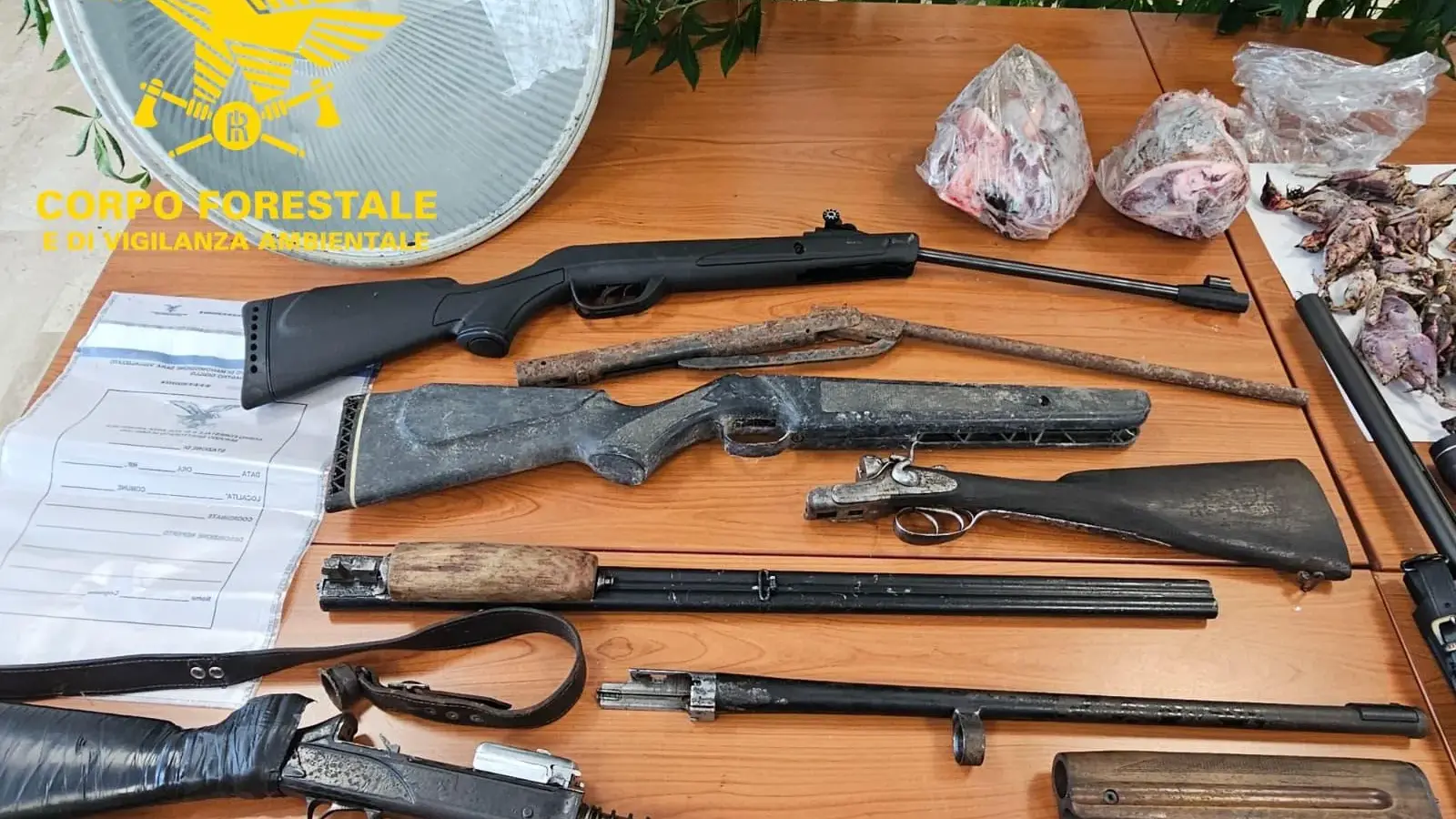 Operazione antibracconaggio nel Cagliaritano: arresti, armi clandestine, droga e soldi