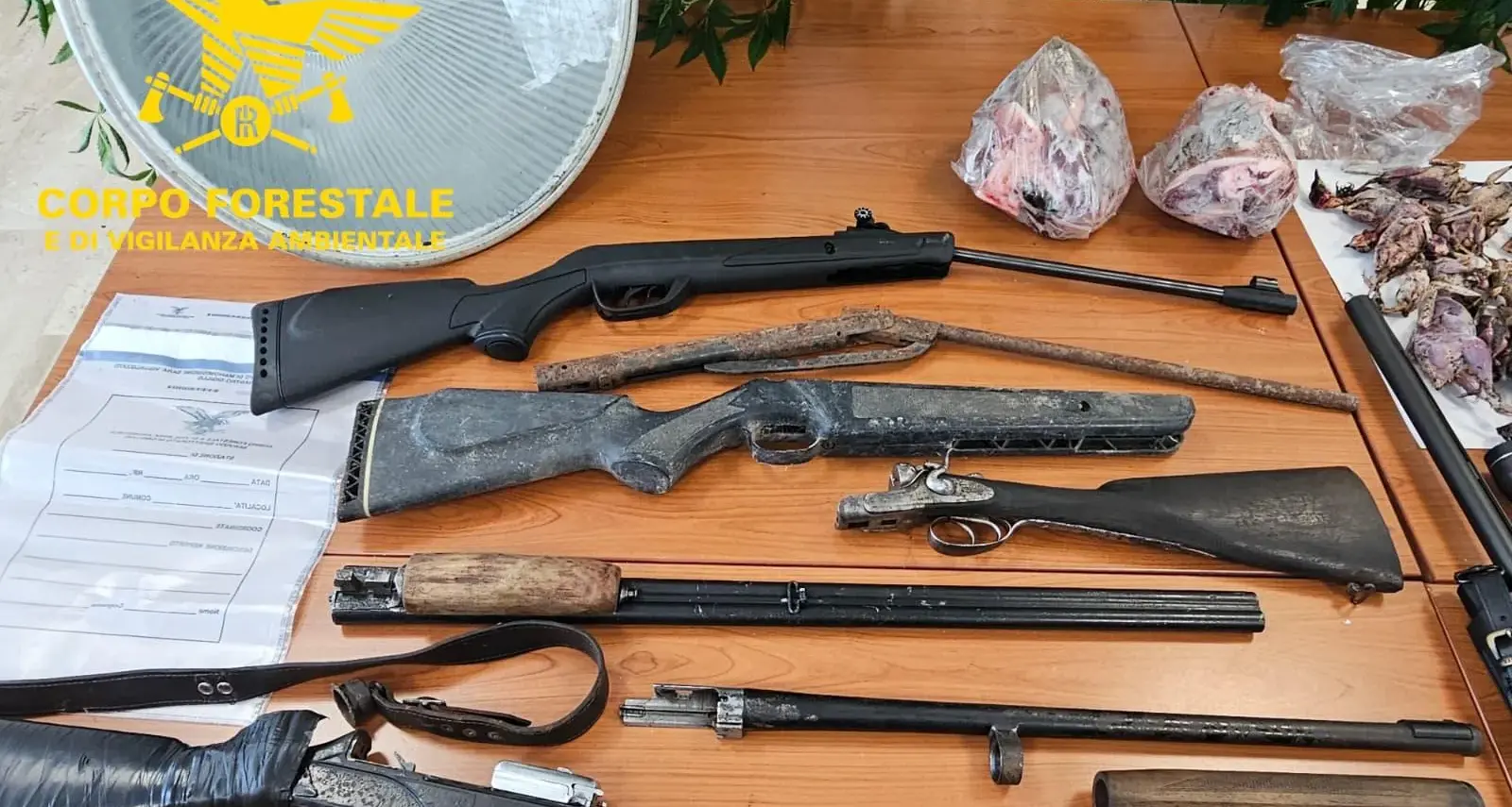 Operazione antibracconaggio nel Cagliaritano: arresti, armi clandestine, droga e soldi