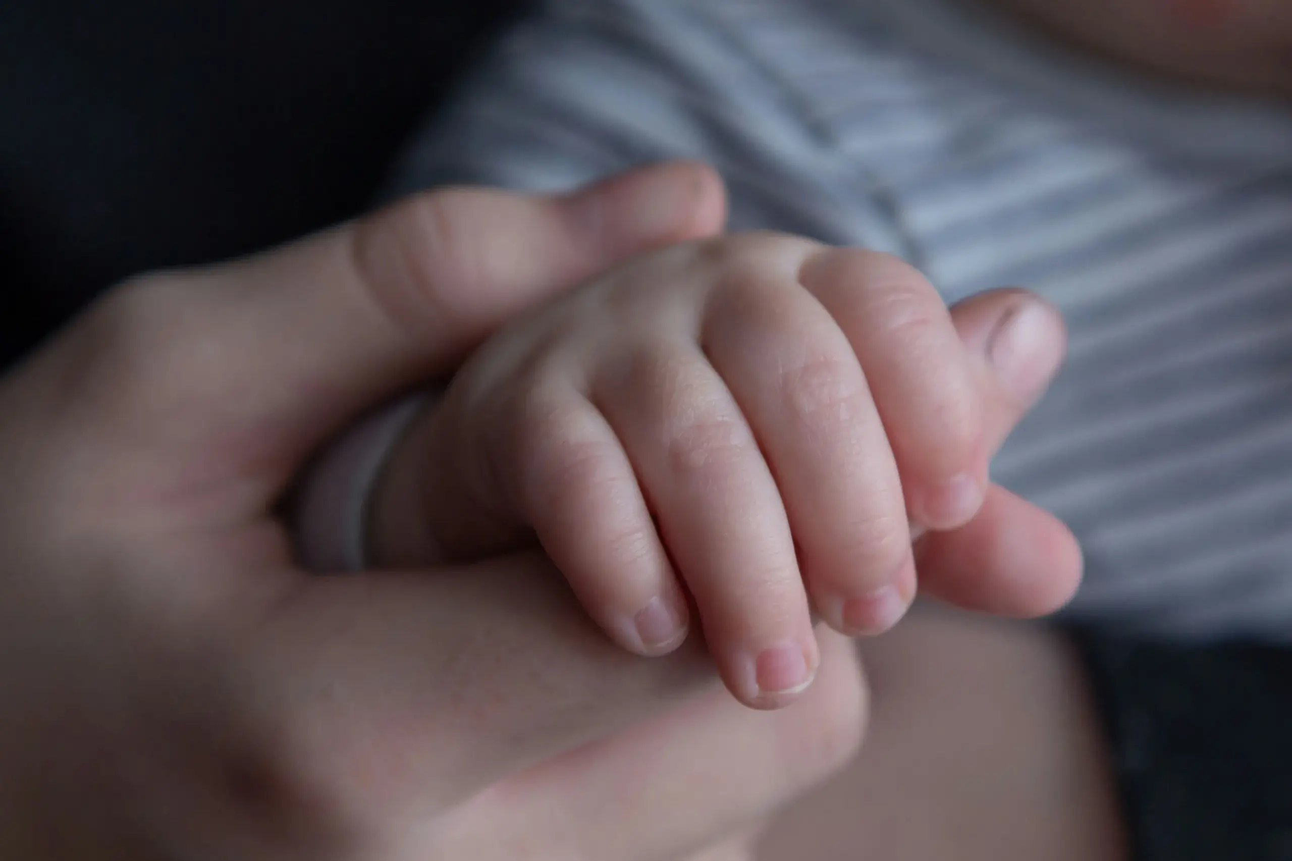 <p>Foto simbolo</p>\\n