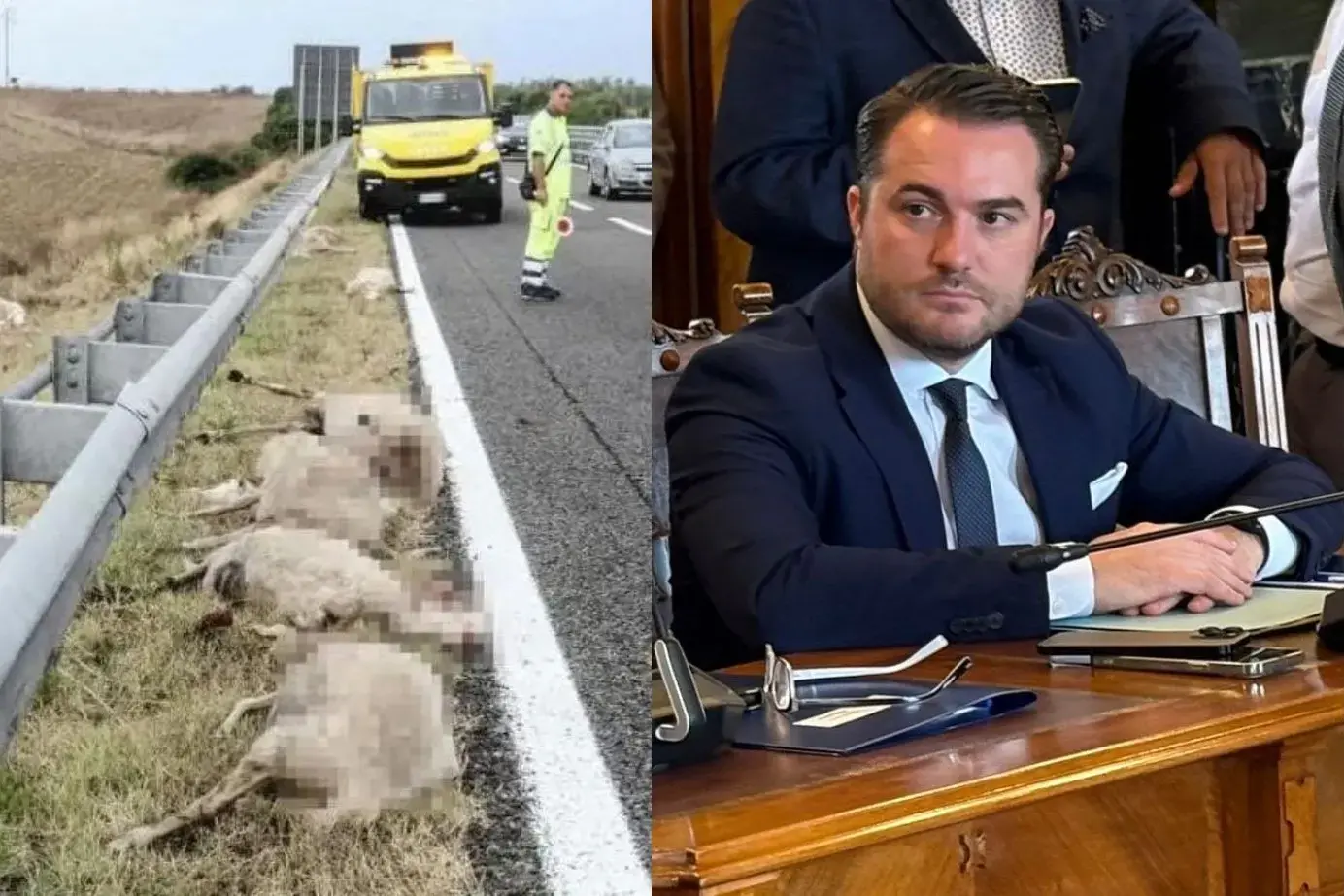 Muros, 22 pecore travolte sulla SS 131, il sindaco Tolu: \"Nessuna competenza comunale\"