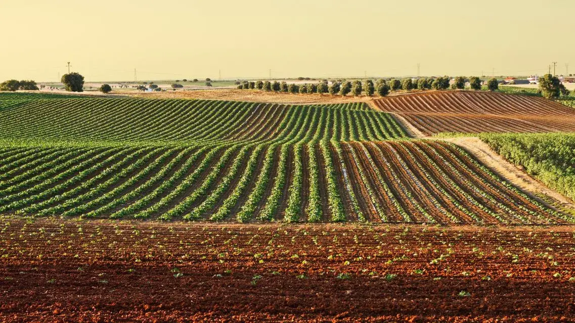 Pac e Plt, Confagricoltura chiede chiarimenti alla Regione su classificazioni e pagamenti