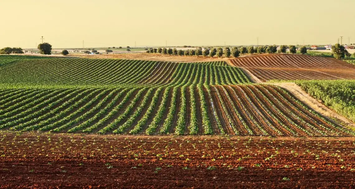 Laore, al via il corso di formazione per conduttore di impresa agricola