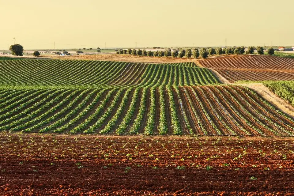 Laore, al via il corso di formazione per conduttore di impresa agricola