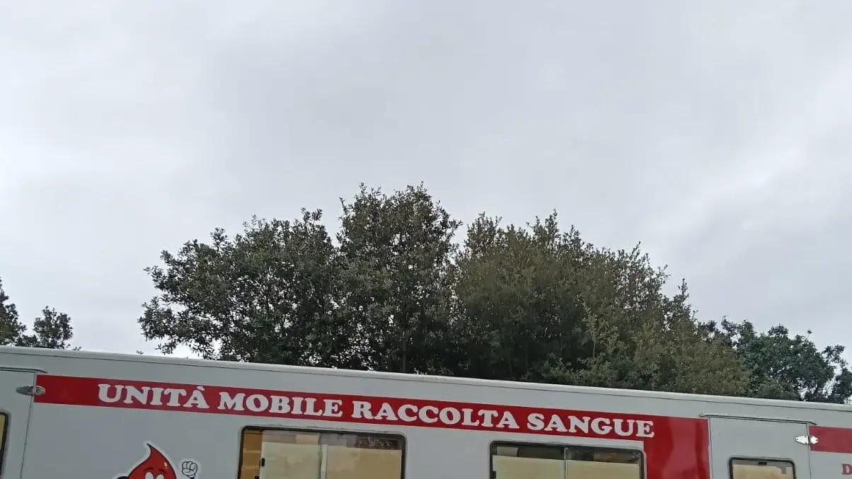 Giovani e donazioni: un futuro promettente per la sezione Avis di Sennori