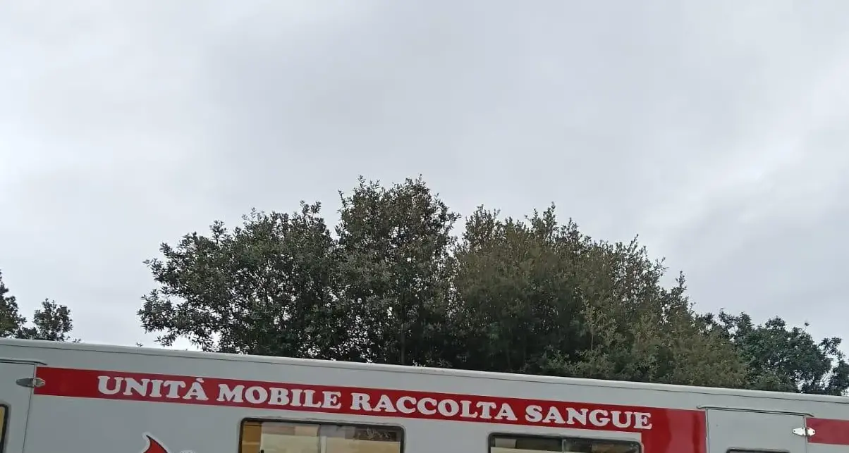 Giovani e donazioni: un futuro promettente per la sezione Avis di Sennori