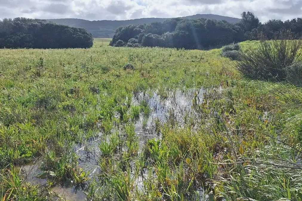 Agricoltura in crisi, piano urgente del Comune di Stintino