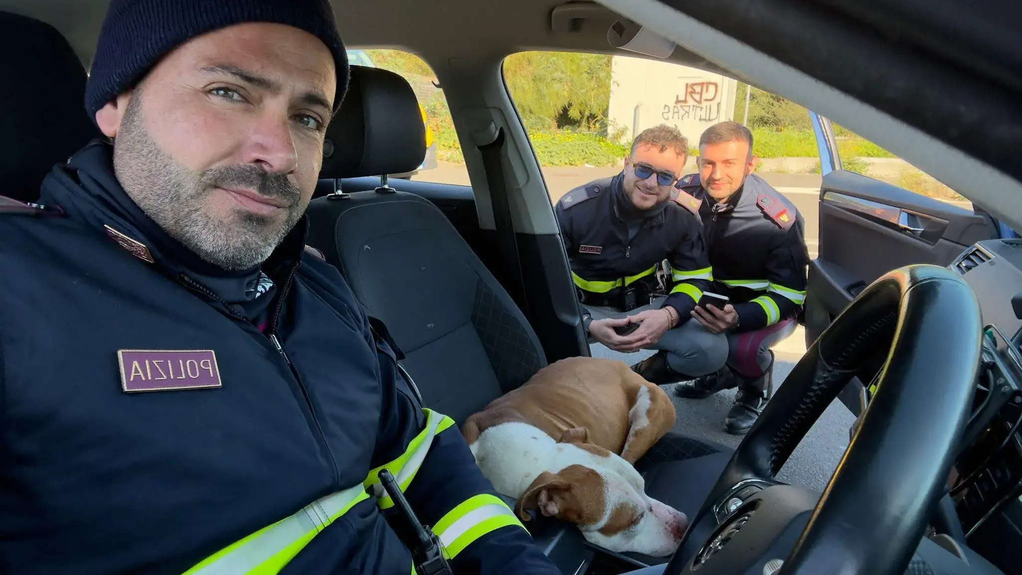 Pitbull smarrito entra nell’auto della Polizia Stradale e non vuole più uscire