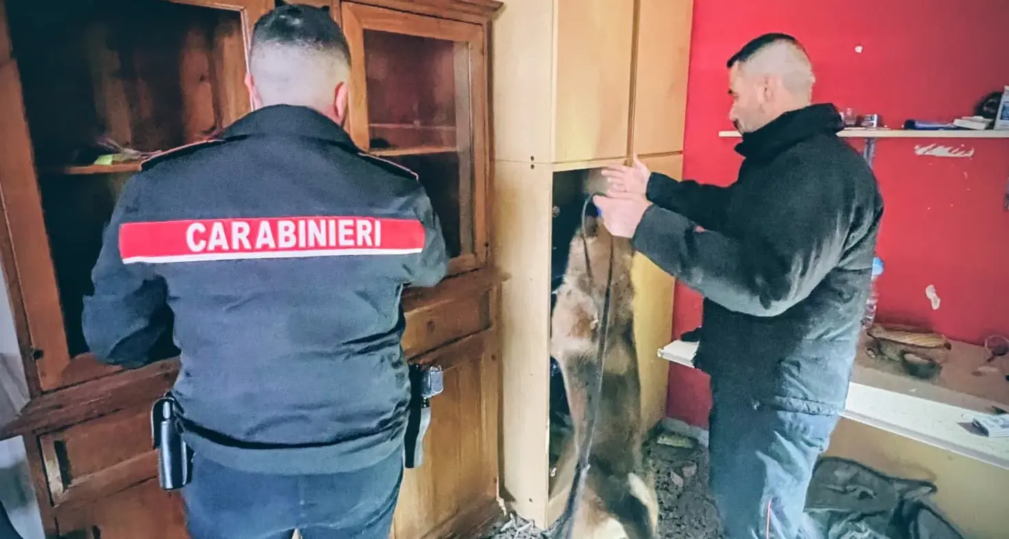 Maxi sequestro di droga e contanti a Iglesias: due arresti dopo il blitz dei Carabinieri