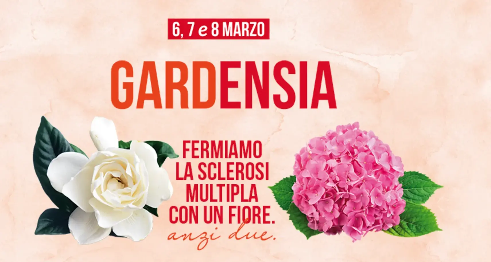 Gardensia 2026: fiori in piazza per sostenere la ricerca sulla sclerosi multipla