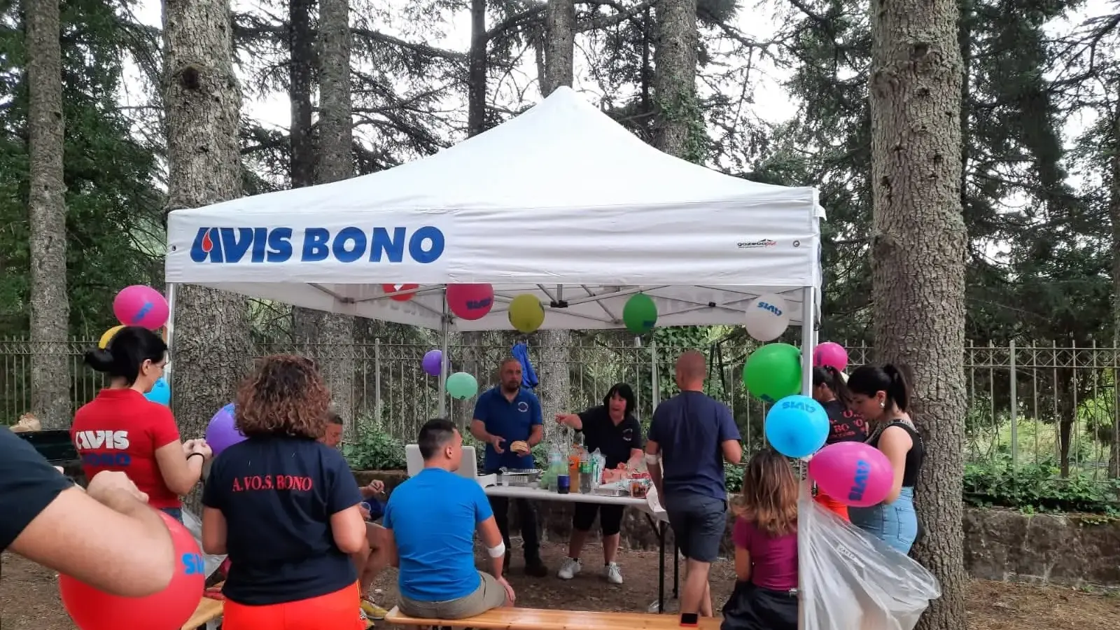 Avis Bono, un'altra annata di grande impegno e solidarietà: 350 sacche raccolte nel 2025