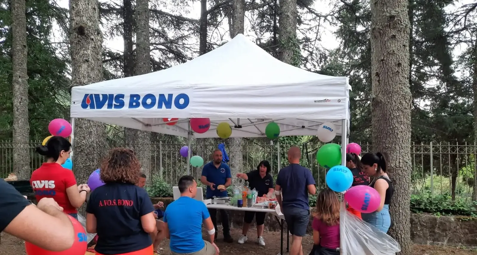 Avis Bono, un'altra annata di grande impegno e solidarietà: 350 sacche raccolte nel 2025