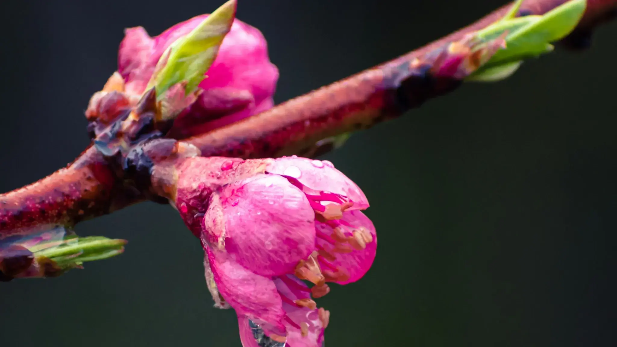 L'anticiclone cede il passo in Sardegna: in arrivo piogge e calo delle temperature