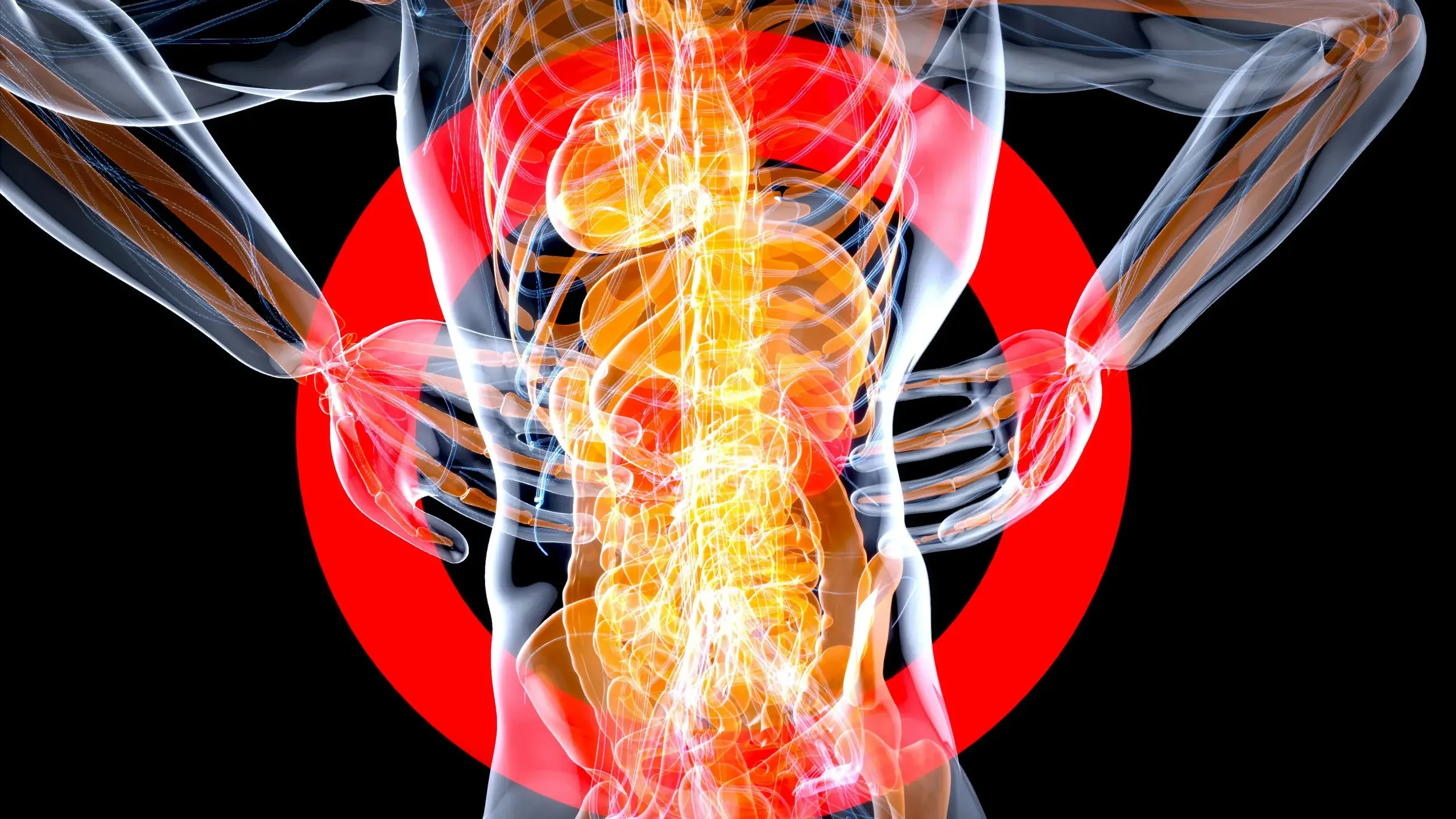 Giornata Mondiale del Rene: un evento a Quartu Sant'Elena per la salute renale