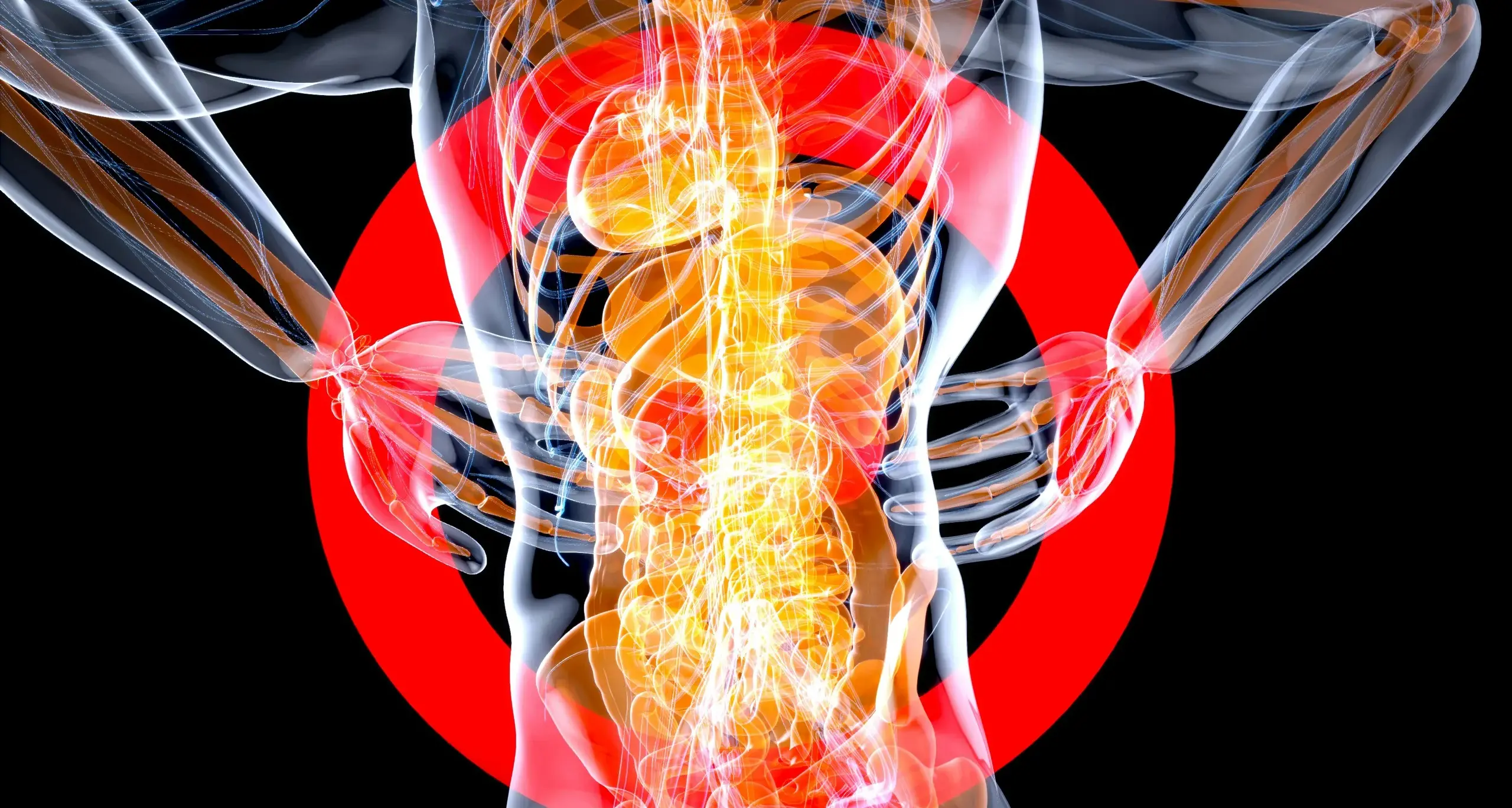 Giornata Mondiale del Rene: un evento a Quartu Sant'Elena per la salute renale