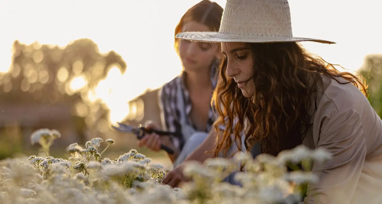 Sostenibilità, torna 'The Good Farmer Award': candidature aperte fino al 15 maggio