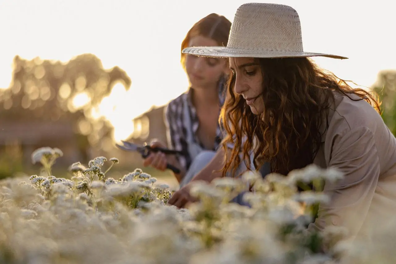 Sostenibilità, torna 'The Good Farmer Award': candidature aperte fino al 15 maggio