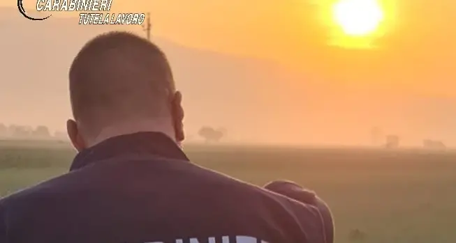 Ingressi illegali di lavoratori stranieri: a Sassari smascherato sistema fraudolento