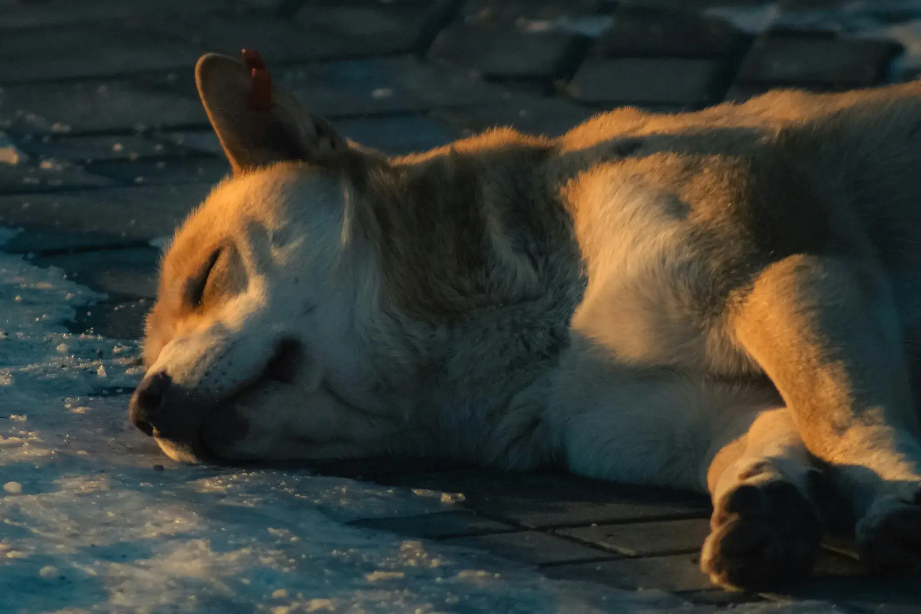 <p>Foto simbolo</p>\\n