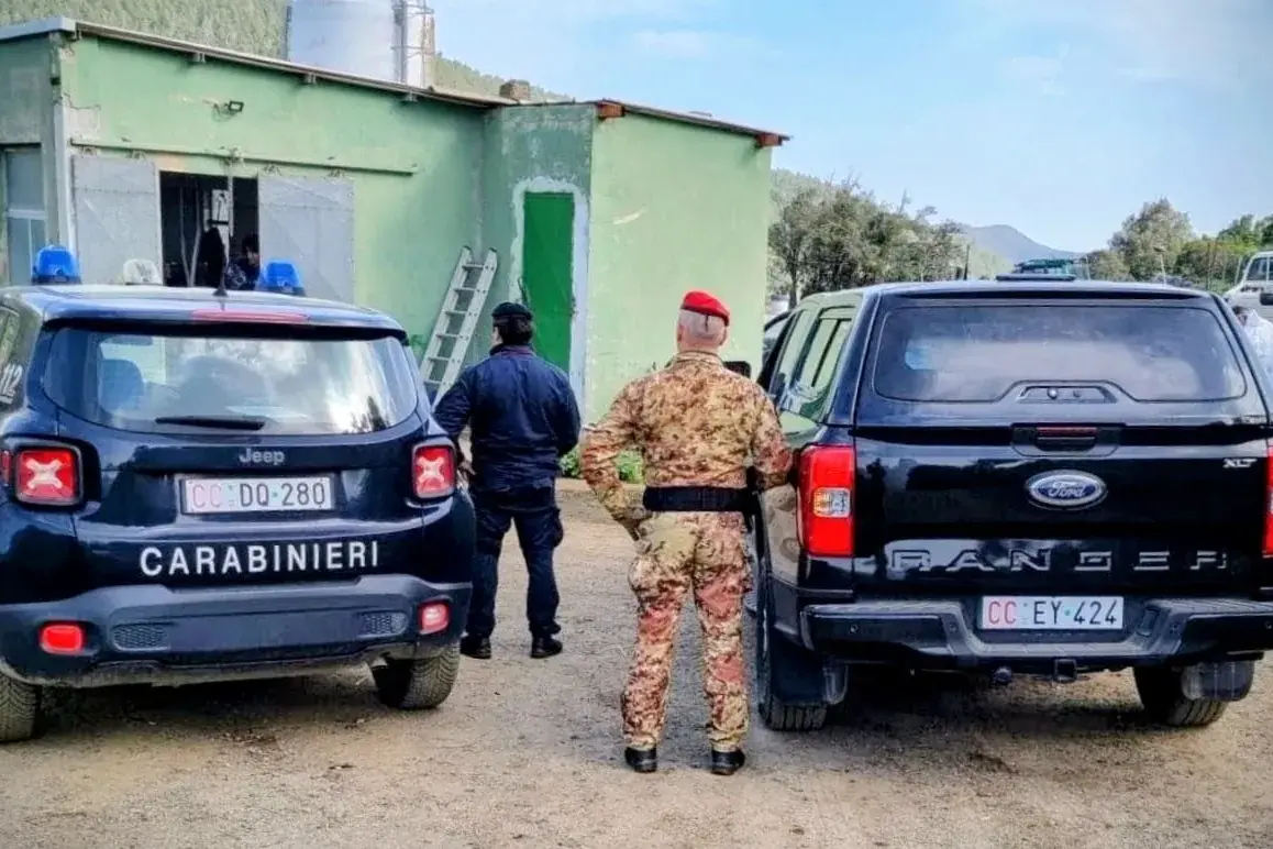 Fucile nascosto nel terreno e droga in auto: allevatore denunciato a Gonnosfanadiga