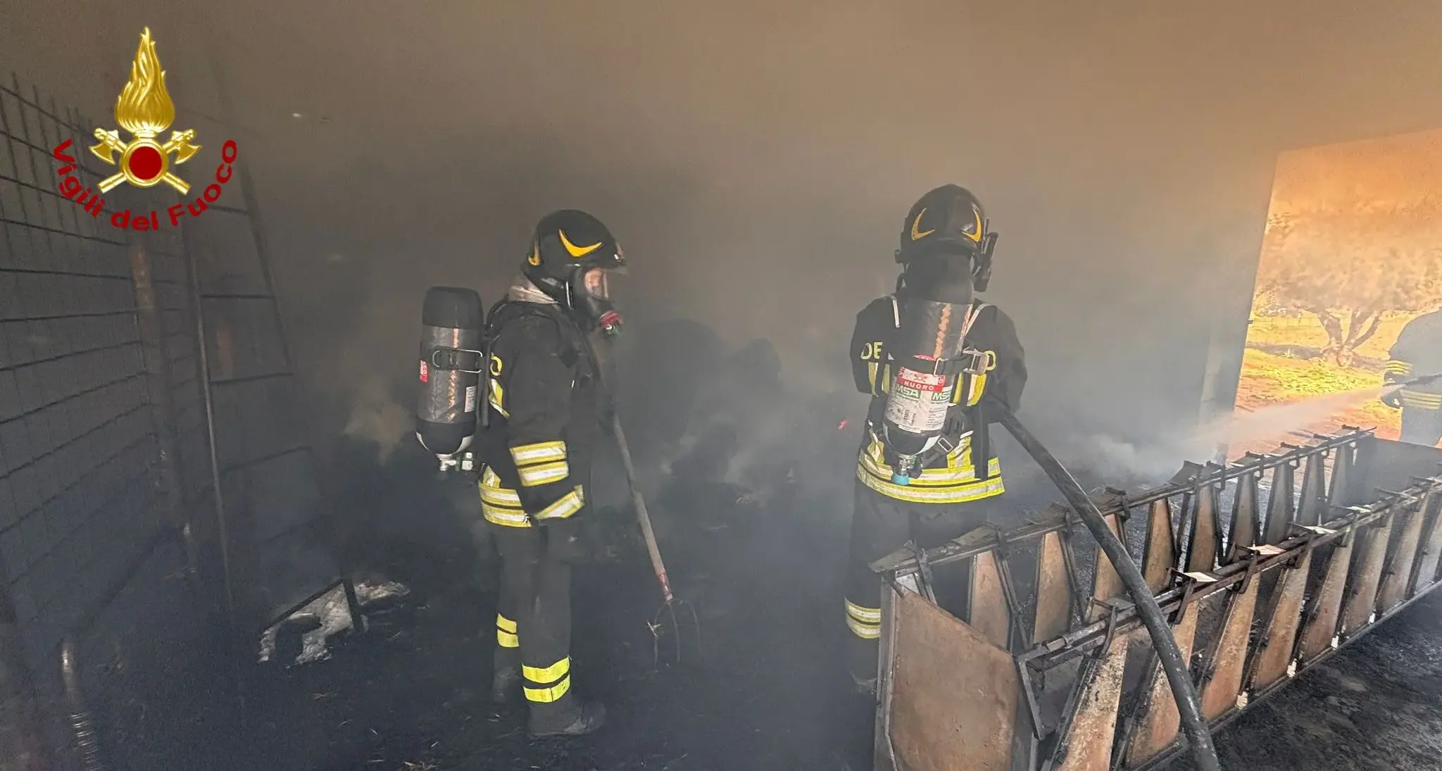 Incendio in una stalla nelle campagne di Orgosolo: morte 25 pecore