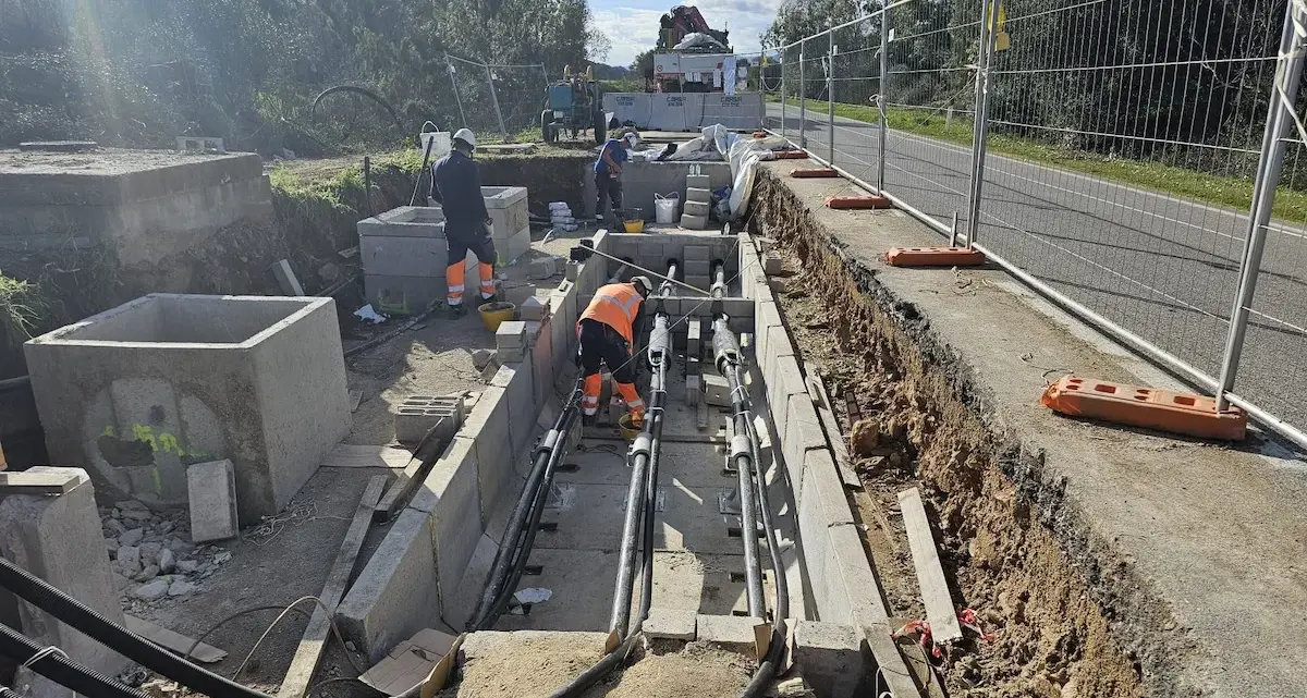 Elettrodotto interrato tra Lula e Galtellì: un progetto da 50 milioni di euro