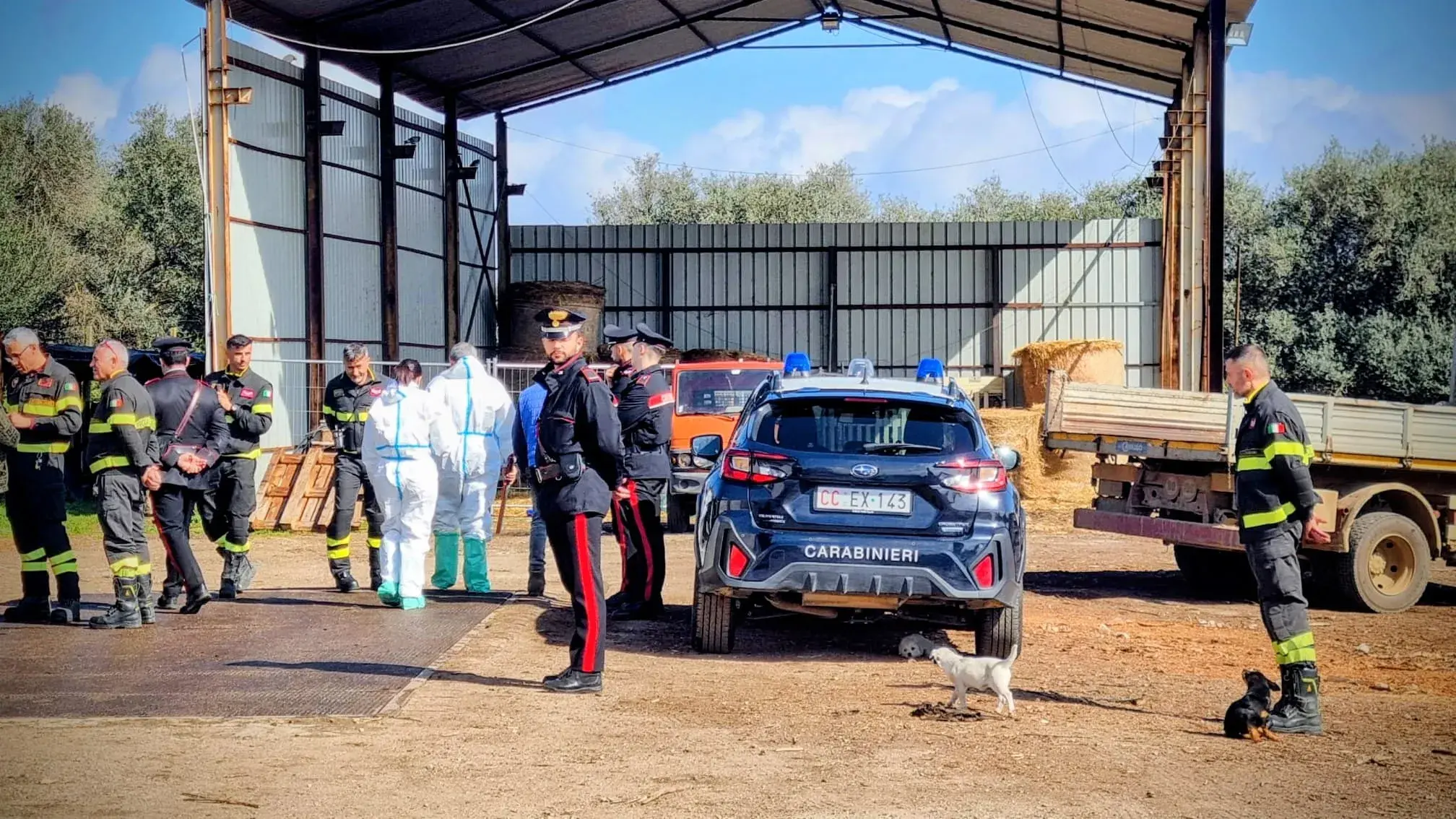 Irregolarità edilizie e veterinarie: sanzioni per il proprietario di un'azienda agricola a Villacidro