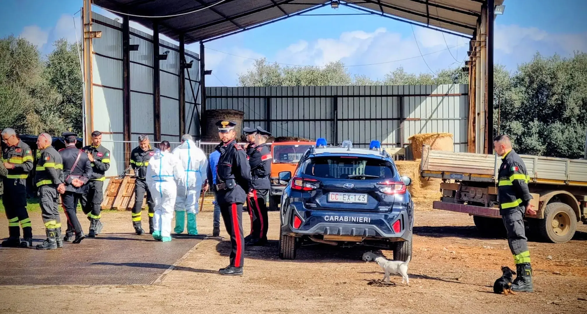 Irregolarità edilizie e veterinarie: sanzioni per il proprietario di un'azienda agricola a Villacidro