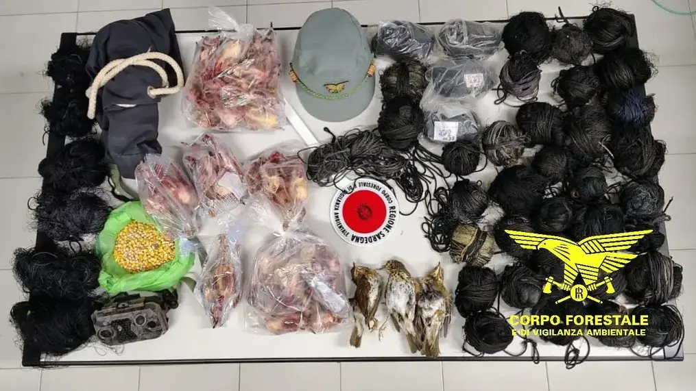 Operazione antibracconaggio nel Sud Sardegna: denunciati quattro uomini, sequestrati oltre 150 uccelli