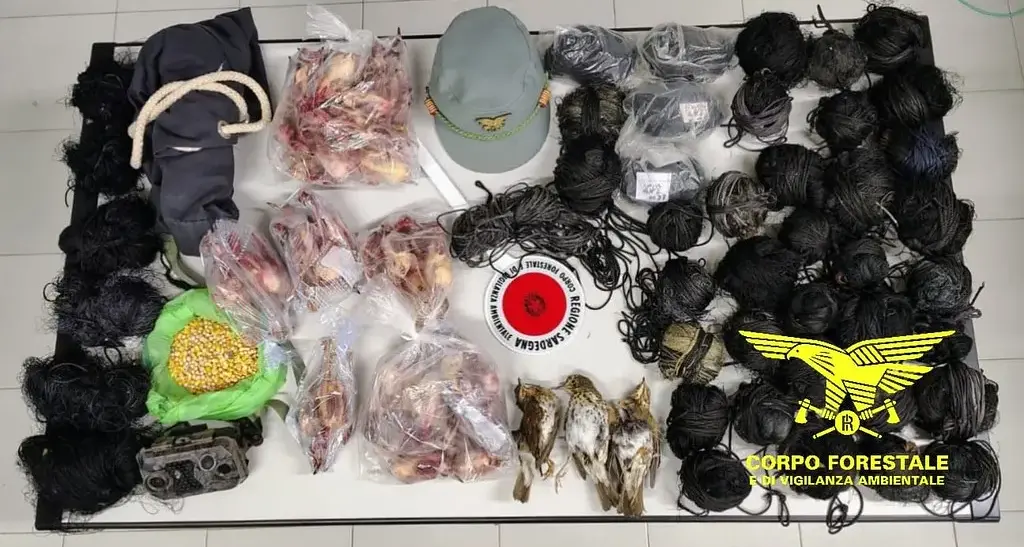 Operazione antibracconaggio nel Sud Sardegna: denunciati quattro uomini, sequestrati oltre 150 uccelli