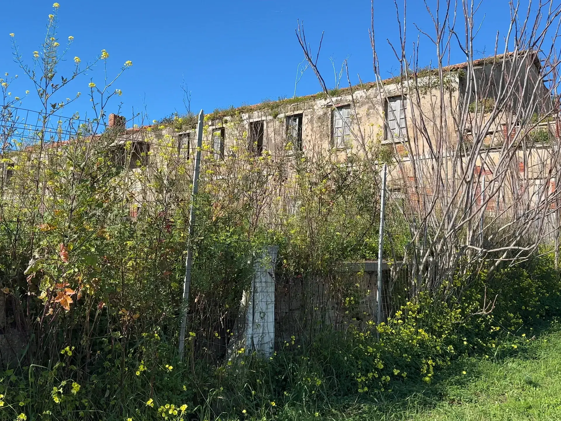Macabra scoperta ad Alghero: scheletro trovato in un casolare vicino alla spiaggia
