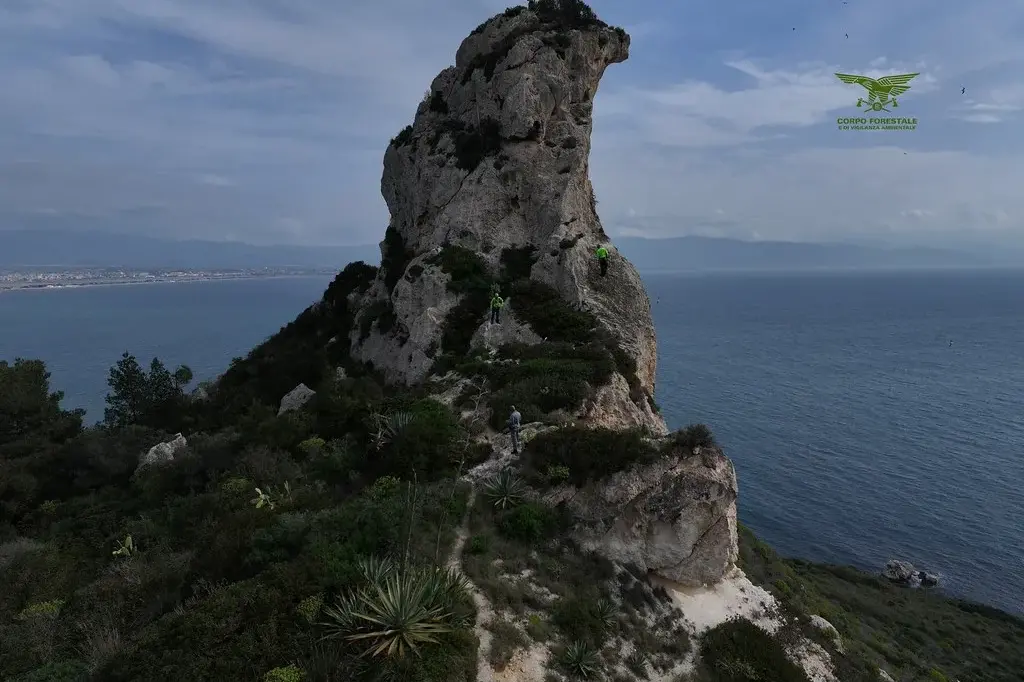 Sella del Diavolo: Corpo forestale rimuove materiale pericoloso per l’arrampicata