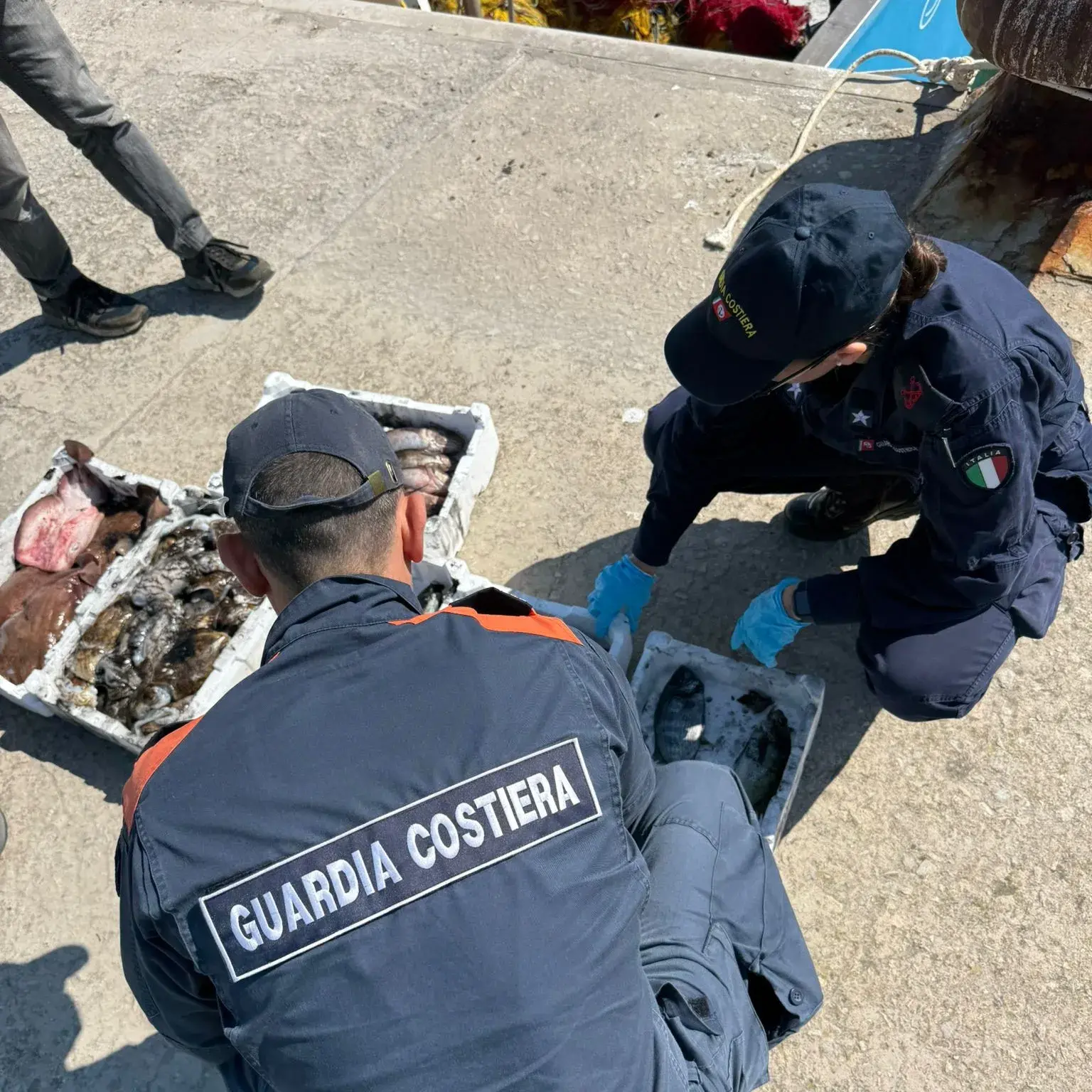 Pesca illegale a Oristano: fermato peschereccio nel Sinis, sequestrati 24 kg di pesce