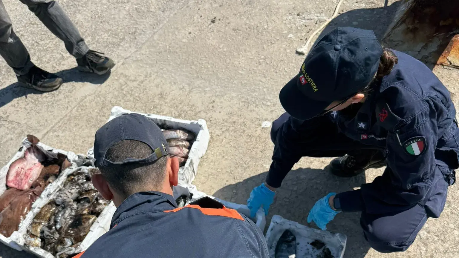 Pesca illegale a Oristano: fermato peschereccio nel Sinis, sequestrati 24 kg di pesce