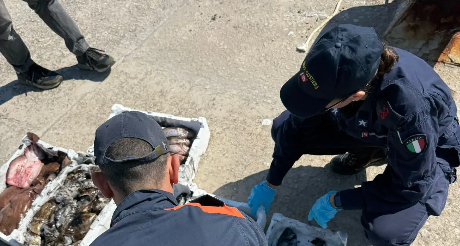 Pesca illegale a Oristano: fermato peschereccio nel Sinis, sequestrati 24 kg di pesce