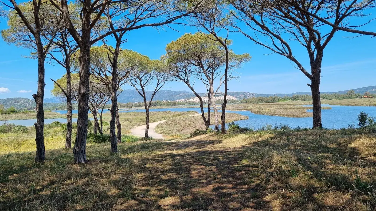 Foreste aperte nel Parco di Tepilora: appuntamenti a Lodè, Bitti, Torpè e Posada