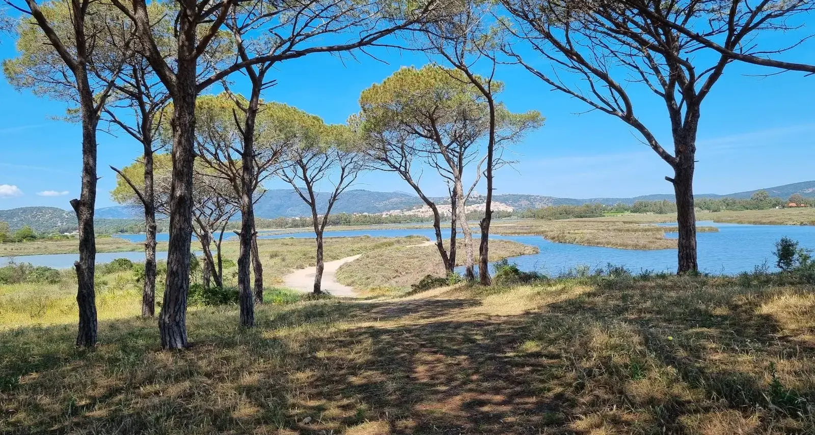 Foreste aperte nel Parco di Tepilora: appuntamenti a Lodè, Bitti, Torpè e Posada